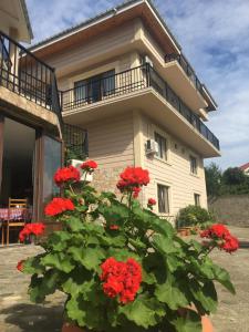 Galeriebild der Unterkunft SV Hotel Batumi in Makhinjauri