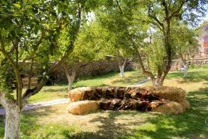 Zahrada ubytování Garni HinYard + 37 fotografií