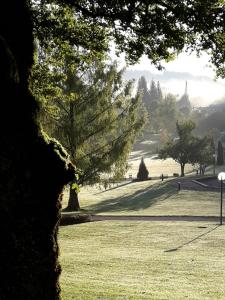 a view of a park with trees and grass at Gästehaus Susanne in Oberstaufen