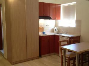 A kitchen or kitchenette at Angelica Studios and Apartments