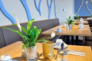 Restaurace v ubytování BE BIO Hotel be natural - direkt am Wasser