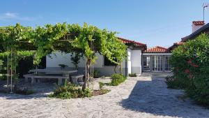 einen Garten mit Picknicktisch und ein paar Trauben in der Unterkunft Villa spacieuse proche de L'océan in Vila Praia de Âncora