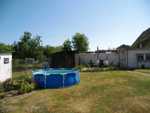 a yard with a blue tub in the grass at Reethaus Natalie in Korswandt