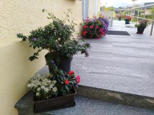 Ogród w obiekcie Haus Amalia