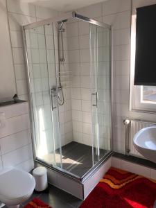 a shower with a glass door in a bathroom at Apartments Stadtmauer in Northeim