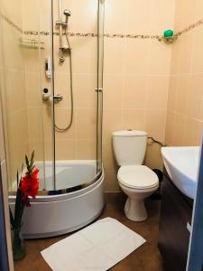 W łazience znajduje się prysznic, toaleta i umywalka. w obiekcie Willa Sorrento w Szczecinie