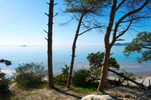 アルゲーロにあるSplendido Appartamento Ultimo Piano Vista Mare Alghero Lidoの木々が植わる丘の上からの海の景色