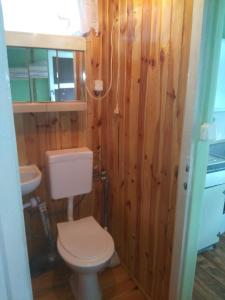 a bathroom with a toilet and a wooden wall at Pod Gwiazdami Lejkowo in Lejkowo