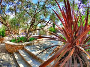 Zahrada ubytování Villa Kos Murter Apartments