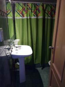 a bathroom with a sink and a green shower curtain at Los Nietos hospedaje in Mendoza
