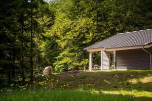 a small house in the middle of a field at Ferienhaus Lichtung in Ruhla