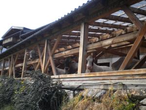 Ảnh trong thư viện ảnh của Weberhof ở Trins
