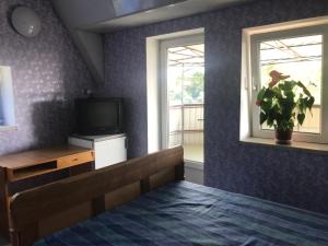 赫梅利尼茨基的住宿－Хостел Автоскло，一间卧室设有一张床、一台电视和一个窗口。