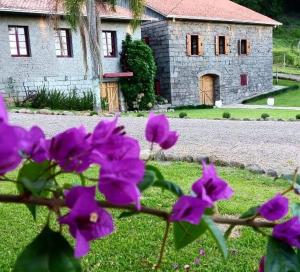 a bunch of purple flowers in front of a house at Casa Vêneto -Vale dos Vinhedos in Bento Gonçalves