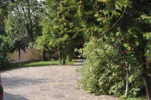 Afbeelding uit fotogalerij van Casa Diu in Avrig