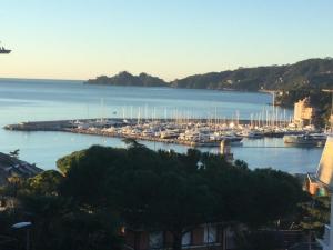 port wypełniony mnóstwem łodzi w wodzie w obiekcie Magia nel golfo del Tigullio w Rapallo