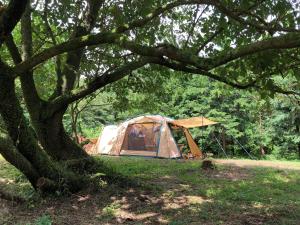 una tenda seduta sotto un albero in un campo di FWA Guest House a Fujinomiya