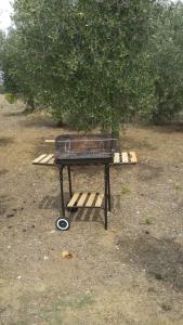 a picnic table with a grill on it next to a tree at Casaletto In Maremma a Magliano in Magliano in Toscana