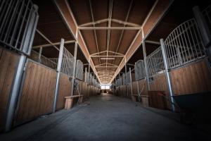 Fotografia z galérie ubytovania Villaggio San Demetrio v destinácii Carlentini