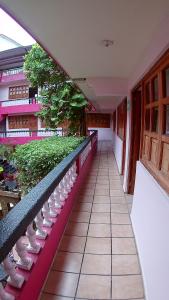 Fotografie z fotogalerie ubytování Hotel Michelle v destinaci San Andrés Tuxtla