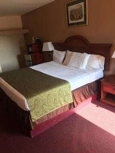 a large bed in a hotel room at Shamrock Motel Hot Springs in Hot Springs