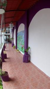 Fotografie z fotogalerie ubytování Hotel Michelle v destinaci San Andrés Tuxtla