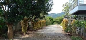 Zahrada ubytování 1st House of Happiness at Khao Yai 1-4 bed open 1 bedroom for each 2 adults