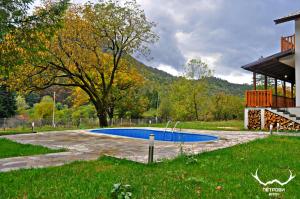 a swimming pool in the middle of a yard at Пе́трови Вили in Ribarica