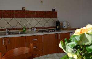 Küche/Küchenzeile in der Unterkunft Apartments Burcul Pag