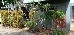 Zahrada ubytování 1st House of Happiness at Khao Yai 1-4 bed open 1 bedroom for each 2 adults