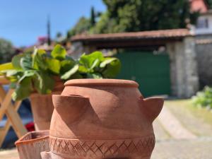 Ogród w obiekcie Casa Angela