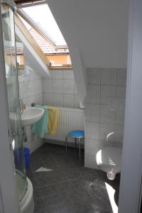 a bathroom with a sink and a toilet and a skylight at Haus Linda in Bärnkopf