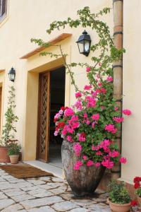 a large planter filled with pink flowers in front of a door at Torre Bennistra in Scopello