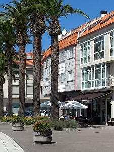 a group of palm trees in front of a building at Casa Vilarousa in Villanueva de Arosa