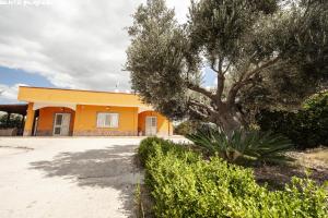 Zahrada ubytování B&B Villa Eleonora