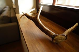 Foto dalla galleria di Flaeminger Bauernstuebchen a Kerzendorf