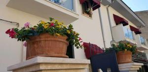 Φωτογραφία από το άλμπουμ του Hotel I Narcisi σε Siniscola