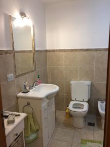 een badkamer met een toilet, een wastafel en een spiegel bij 678 Mascardi Roca Malen in San Martín de los Andes