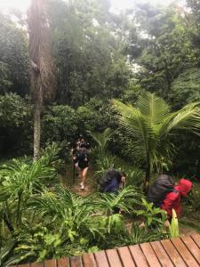 un grupo de personas caminando por la jungla en Pousada Rainforest House - Ilha Grande, en Abraão