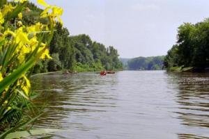 Galeriebild der Unterkunft Landgasthof Sonneneck in Listerfehrda