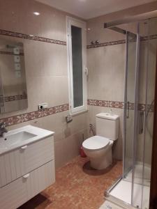 ログローニョにあるApartamento Logroñoのバスルーム(トイレ、洗面台、シャワー付)