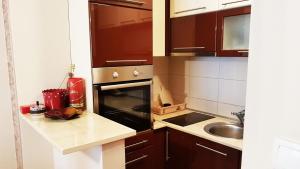 Köök või kööginurk majutusasutuses Apartman Pullum