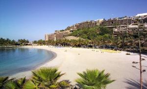 einen Strand mit Palmen und Gebäuden im Hintergrund in der Unterkunft Guanabara park in Puerto Rico de Gran Canaria