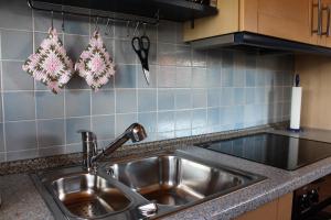 un lavandino in acciaio inossidabile in una cucina con utensili di Ferienwohnung Helga a Walkenried