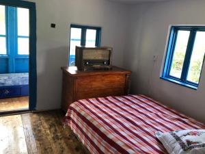 Un pat sau paturi într-o cameră la Casa Albastră