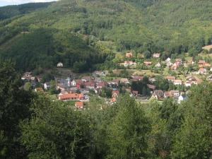 Příroda nedaleko apartmánu