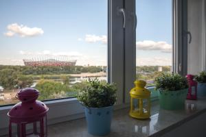 ワルシャワにあるWSTApartments River Viewの鉢植え三株の窓枠