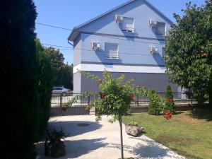 a house with a tree in front of it at Apartments Popovic in Belgrade