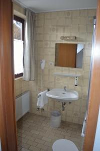 a bathroom with a sink and a toilet at Niedereher Mühle in Niederehe