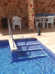 a black cat sitting next to a swimming pool at Apartamentos Villa Primera in Cala Figuera